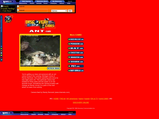 Discovery Kids/Discovery Cams/Ant_Cam/DK ANT cam screenshot