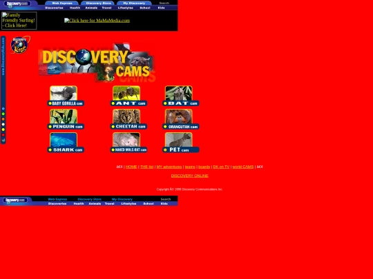 Discovery Kids/Discovery Cams/Discovery CAMS screenshot