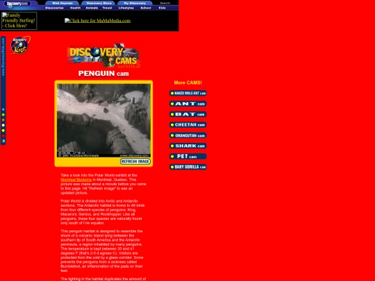 Discovery Kids/Discovery Cams/Penguin Cam/DK PENGUIN cam screenshot