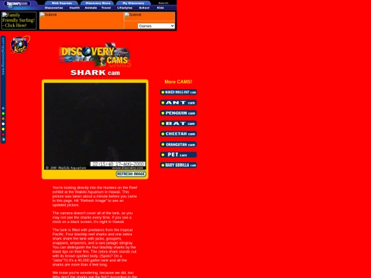 Discovery Kids/Discovery Cams/Shark Cam/DK SHARK cam screenshot