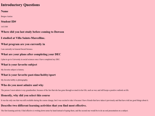 Web Pages/style-sheet-example screenshot