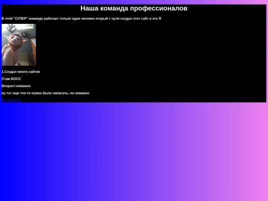 About us screenshot