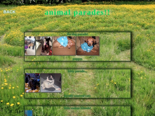 parades screenshot
