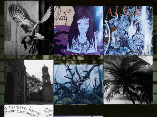 pictures screenshot