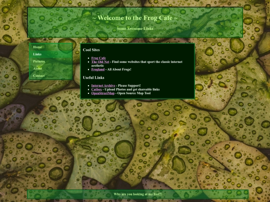 links screenshot