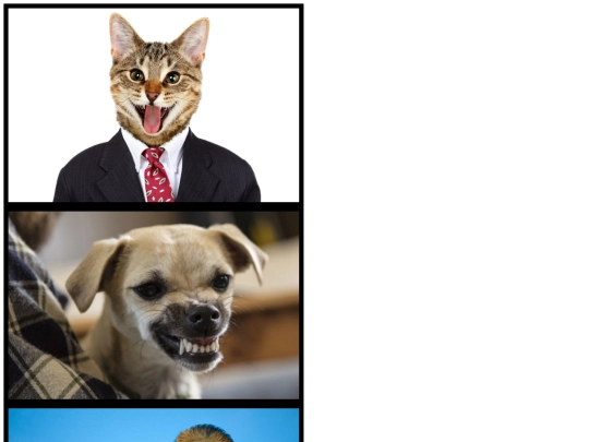 pictures screenshot