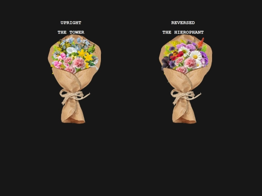 r_i_v_k_a/flowers screenshot