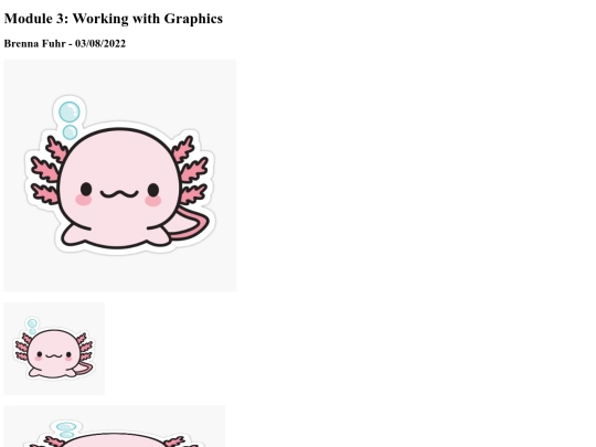 module3-1 screenshot