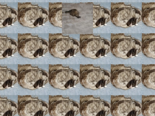 meatzone screenshot