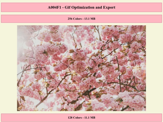 Semester2/A004F1/a004f1 screenshot