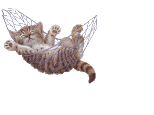 toys/hammockcat screenshot
