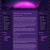 asadaphylan.neocities.org avatar