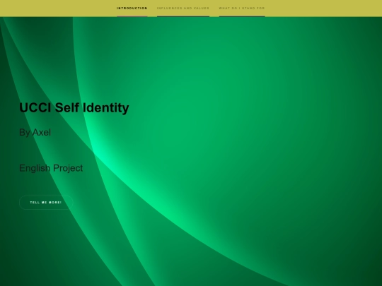 project screenshot