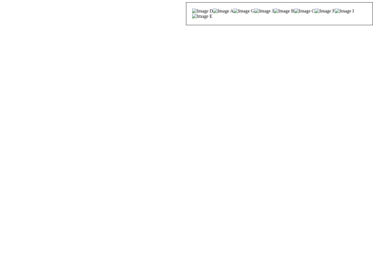 Documents/A Flexible Puzzle Assignment screenshot
