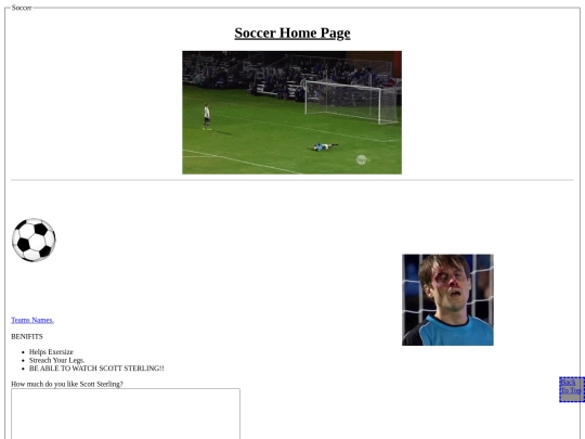 SoccerHome screenshot