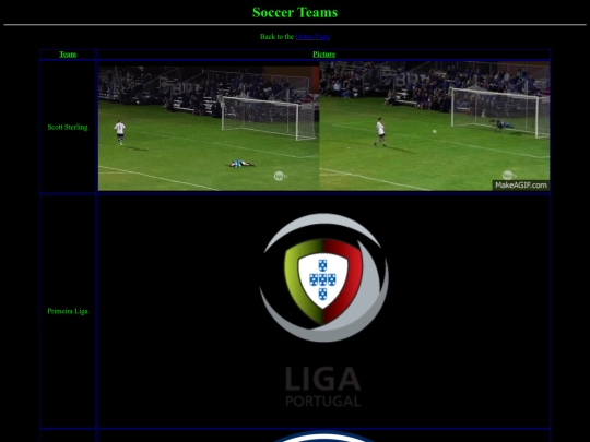 SoccerTeams screenshot