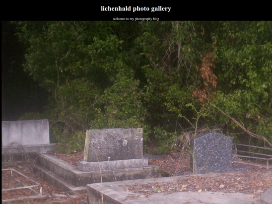 pages/personalblog/personalpages/photography/photography screenshot