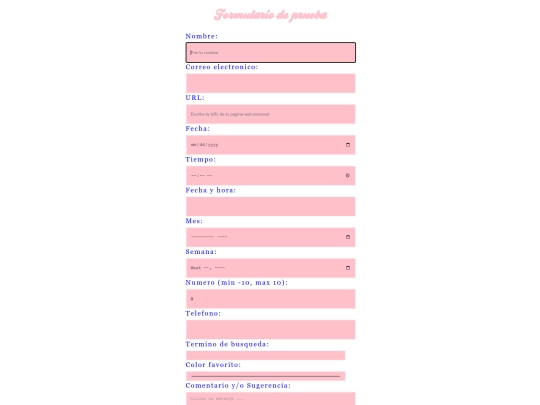 formulario screenshot