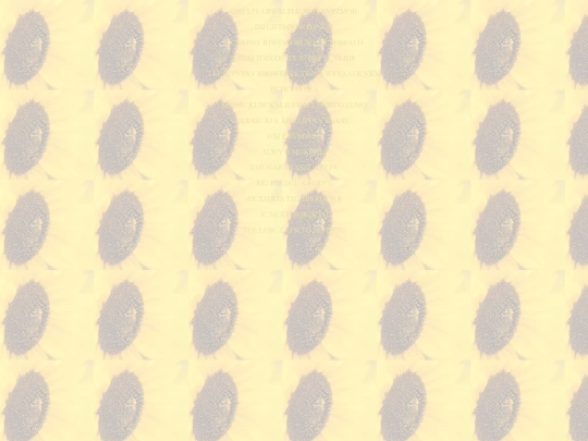 sunflower screenshot