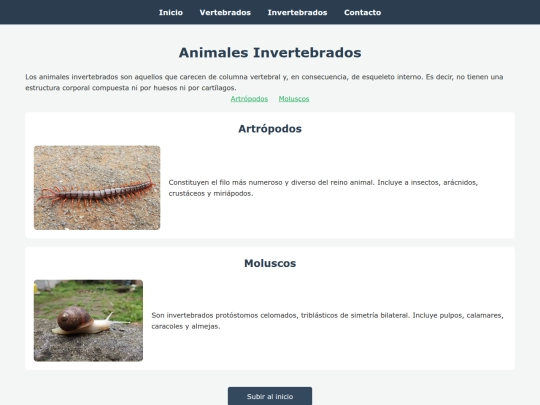invertebrados screenshot