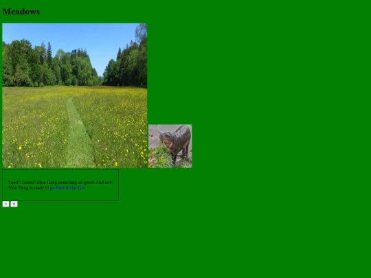 Adventure_Away/meadow screenshot