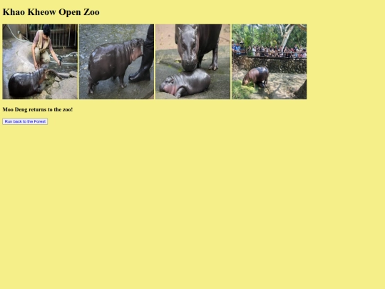 Adventure_Away/zoo screenshot