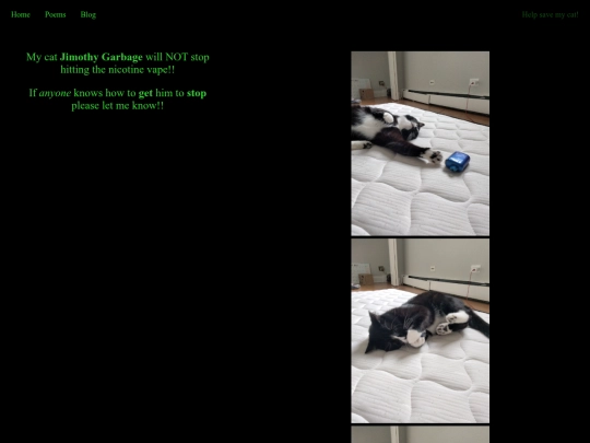 cat screenshot