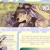 &starf; wrenzoi &starf; avatar