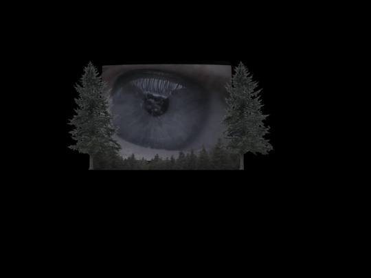 eye screenshot