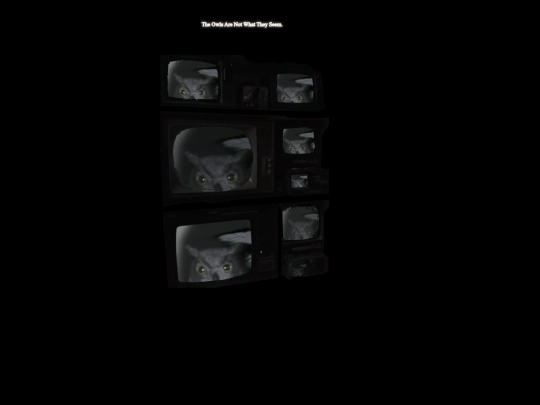 owls screenshot