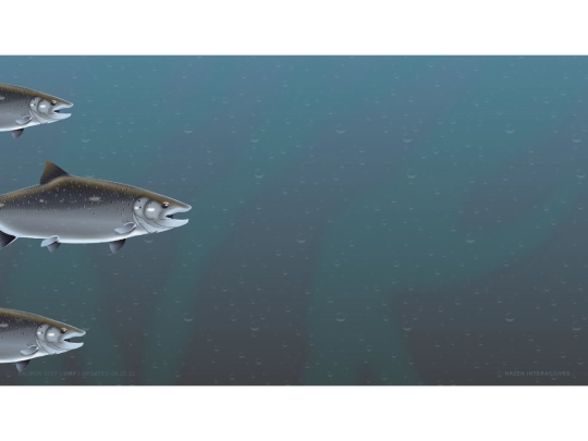 SalmonCity screenshot