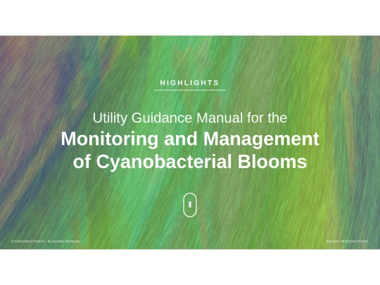 algae manual screenshot