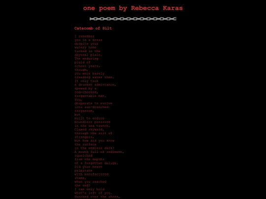 zineposts/rebecca-karas-jan-19-2026 screenshot