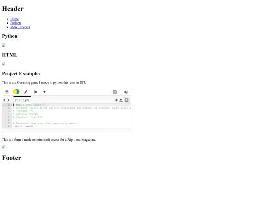 projects screenshot