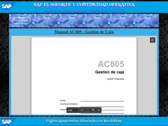 SAP/PAG27 screenshot