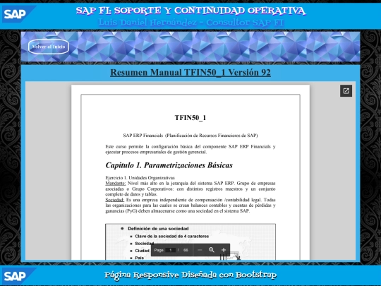 SAP/PAG29 screenshot