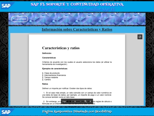 SAP/PAG32 screenshot