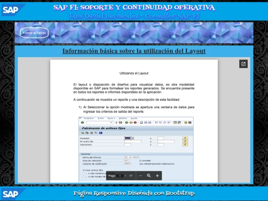 SAP/PAG33 screenshot