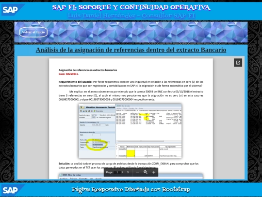 SAP/PAG36 screenshot