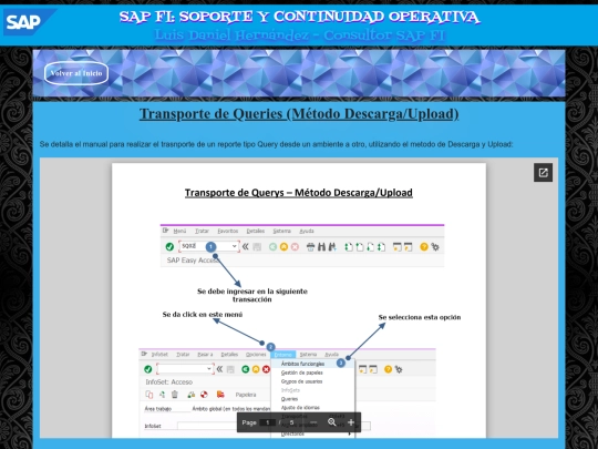 SAP/PAG46 screenshot