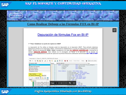 SAP/PAG54 screenshot