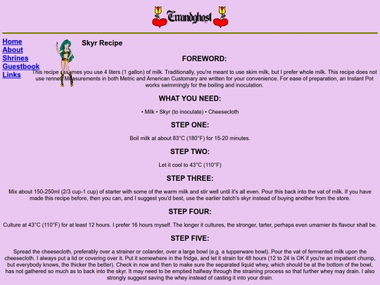 skyr screenshot