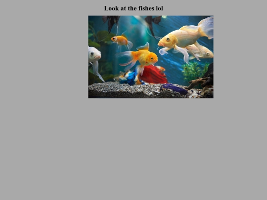puzzle screenshot