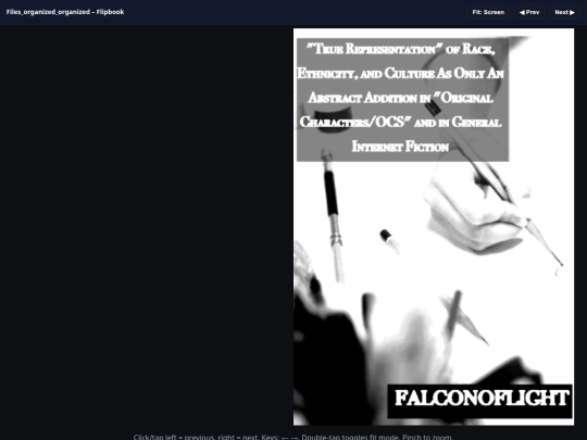 Essay Zine/flipbook screenshot