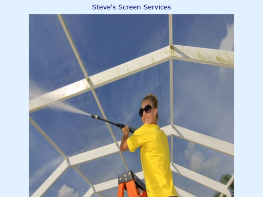 screenservices screenshot