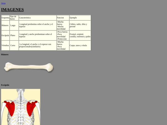 biologia/FormaDeHuesos screenshot