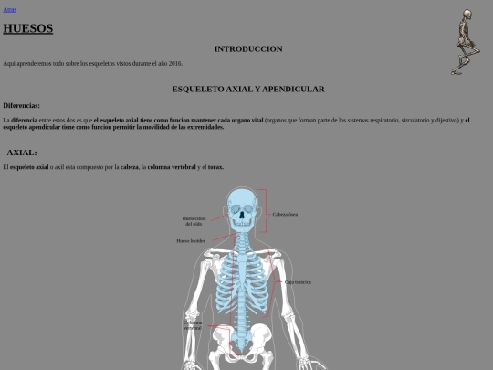 biologia/huesos screenshot