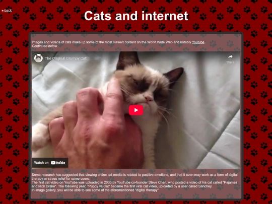 cats_and_internet screenshot