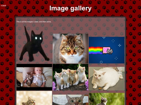img_gallery screenshot