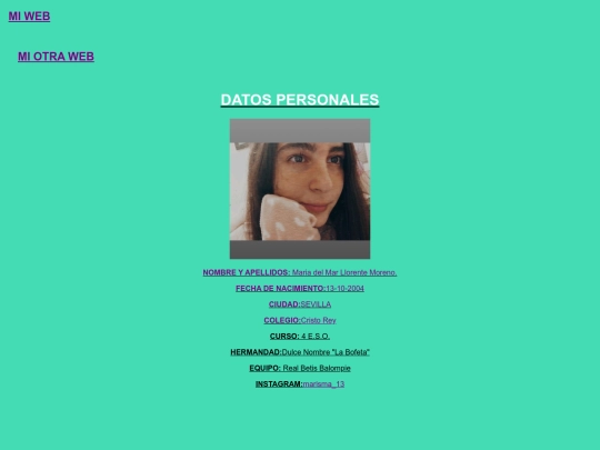 datos personales screenshot